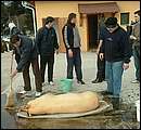 DSCF6235.jpg