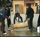 DSCF6236.jpg