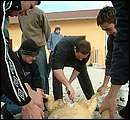 DSCF6240.jpg