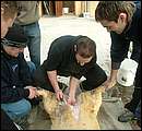 DSCF6244.jpg