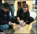 DSCF6246.jpg