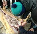 DSCF6253.jpg