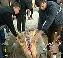 DSCF6259.jpg