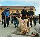 DSCF6270.jpg