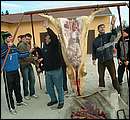 DSCF6277.jpg