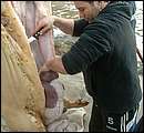 DSCF6280.jpg