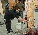 DSCF6283.jpg