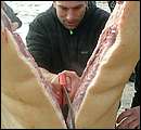 DSCF6295.jpg