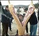 DSCF6297.jpg