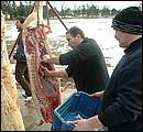 DSCF6309_haladas.jpg