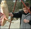 DSCF6337.jpg