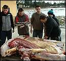 DSCF6353.jpg