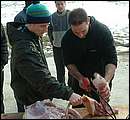 DSCF6360.jpg