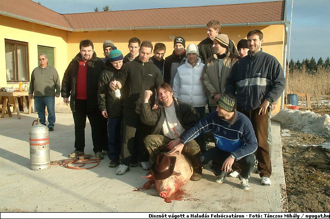 DSCF6134_haladas.jpg