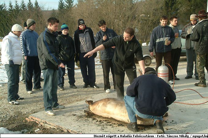 DSCF6156.jpg