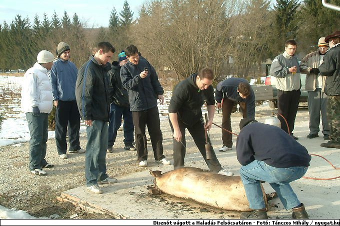 DSCF6158.jpg