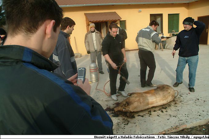DSCF6163.jpg