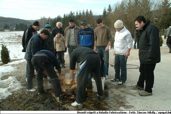 DSCF6214.jpg