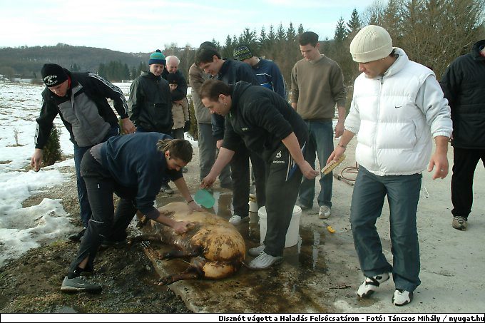 DSCF6217_haladas.jpg