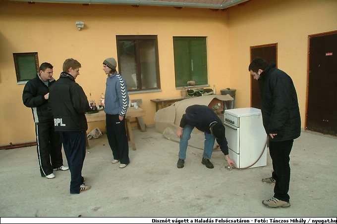 DSCF6218.jpg