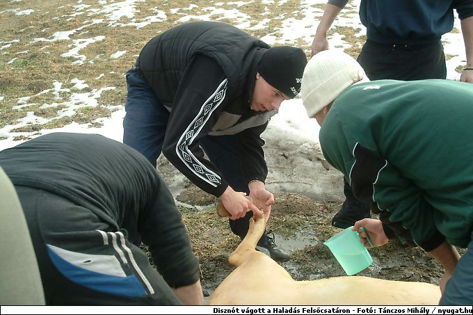 DSCF6221.jpg