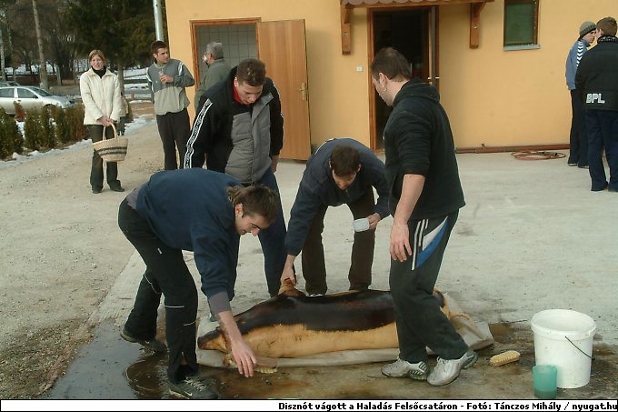 DSCF6229.jpg