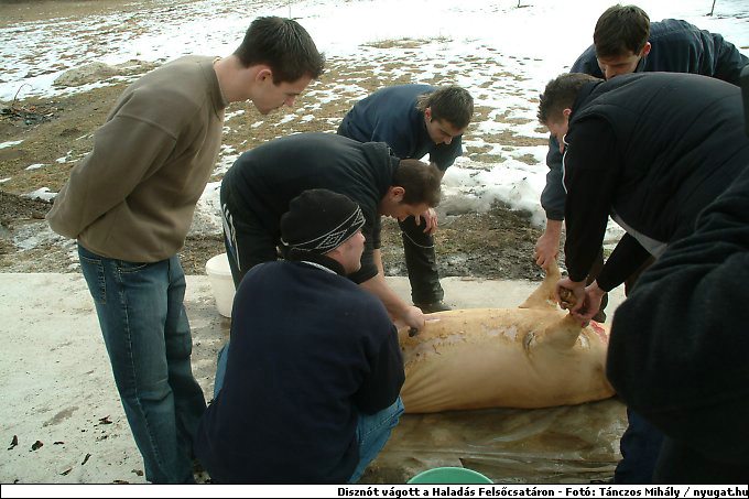 DSCF6239.jpg