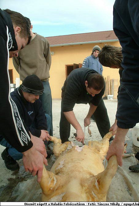 DSCF6241.jpg