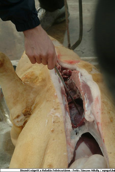 DSCF6256.jpg
