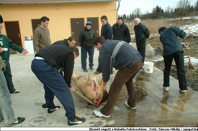 DSCF6261.jpg