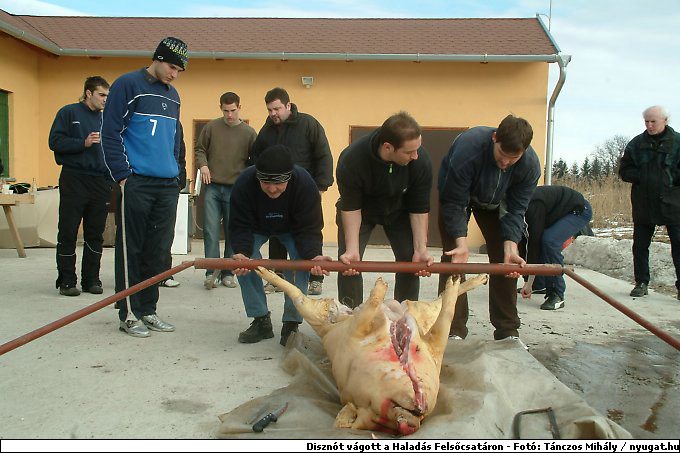 DSCF6269.jpg