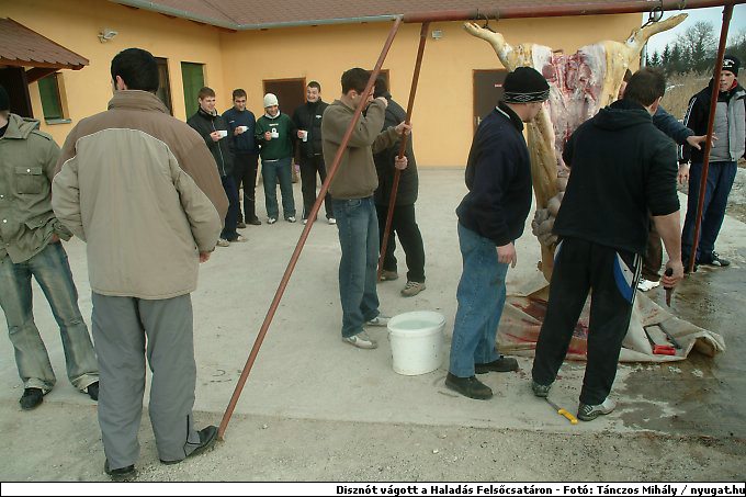 DSCF6279.jpg