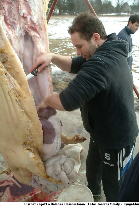 DSCF6280.jpg