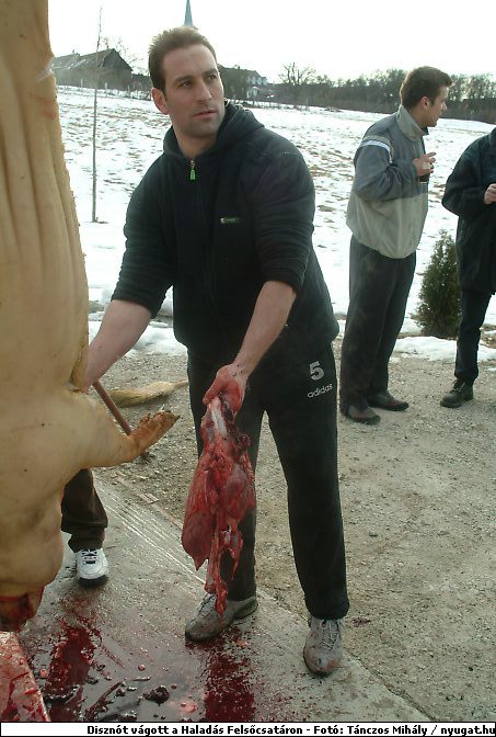 DSCF6289.jpg