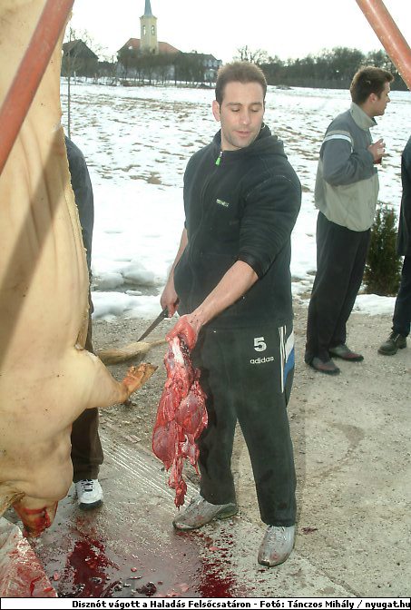 DSCF6291.jpg