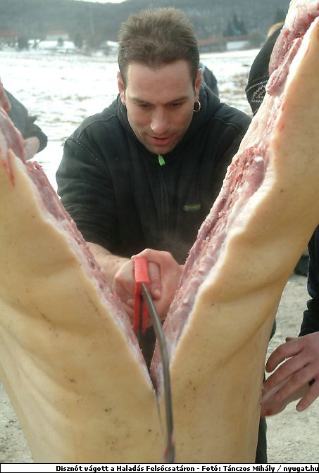 DSCF6295.jpg