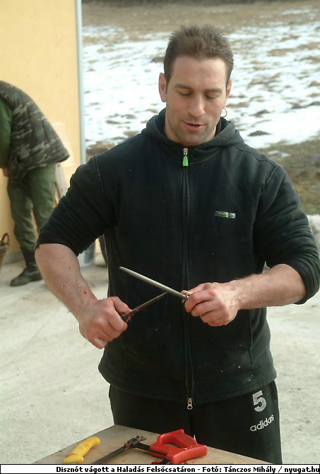 DSCF6340.jpg