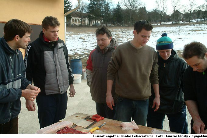 DSCF6351.jpg