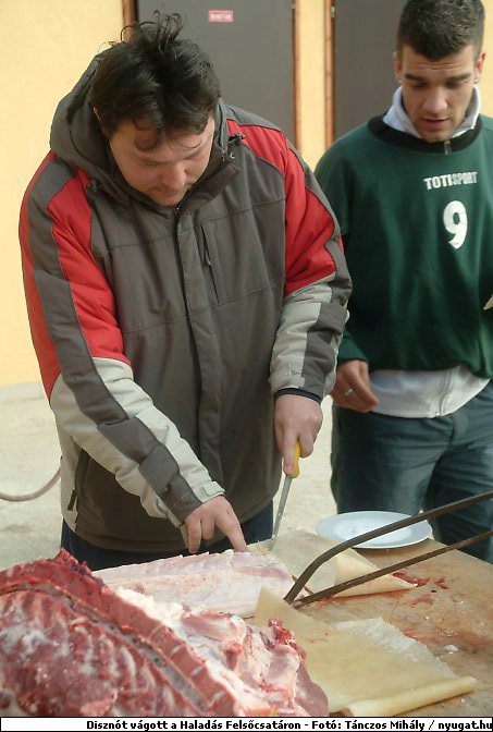 DSCF6356.jpg