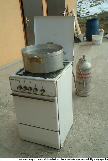 DSCF6359.jpg