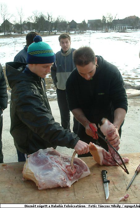 DSCF6360.jpg