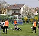 DSC_6268.jpg