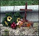 DSCF8798.jpg