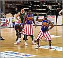 DSC_3611.JPG