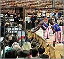 DSC_3733.JPG