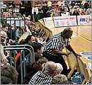 DSC_3762.JPG