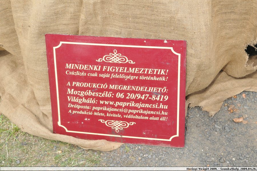 aDSC_9642.JPG