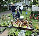 DSC_0057.JPG