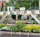 DSC_0069.JPG