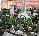DSC_0091.JPG
